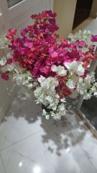 -艺米阳光Hair Salon