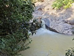 -广州白江湖森林公园