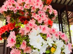 -上海醉白池公园