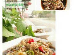 -武汉世外桃源农庄