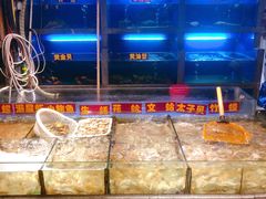 水产区-肥仔文澳门猪骨煲(南京西路店)