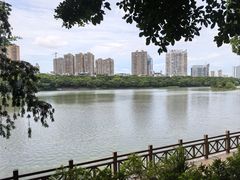 -南宁南湖公园