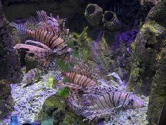 -太平洋海底世界