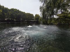 -百脉泉景区