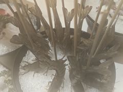 -帝皇海海鲜豆捞(桐泾商务广场店)