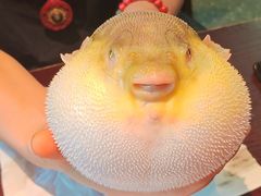 -永安鱼庄·镇江菜(东吴路店)