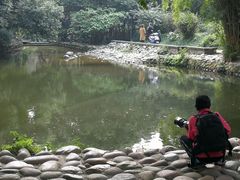 -成都市活水公园