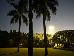 -深圳仙湖植物园