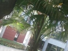 操场-厦门大学(思明校区)