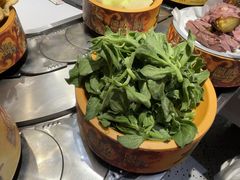 -龍歌自助小火锅(秦淮水游城店)