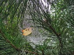 -天津盘山风景名胜区