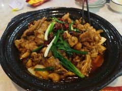 牛蛙煲-阿龙酒煲(海宁新苑路店)
