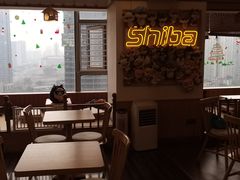 大堂-豆柴町-柴犬主题狗咖(红鼎国际C座店)