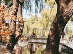 -石家庄市植物园