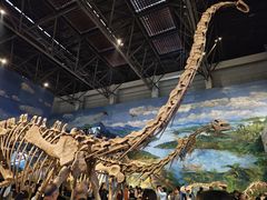 -自贡恐龙博物馆