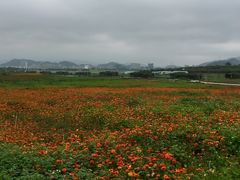 -光明小镇欢乐田园