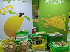 -深圳龙华星河COCO City(民治店)