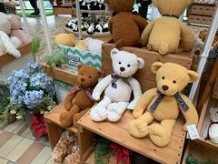 -济州岛泰迪熊博物馆