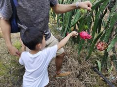 -新塘水果乐园(东洲大道店)