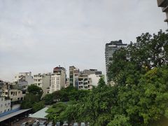 -胡志明市美术馆