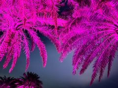 -珠海长隆海洋王国