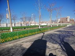 -团泊镇示范集贸市场