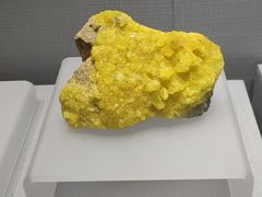 -湖南省地质博物馆