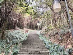 -梦姑塘文化公园