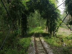 -合肥滨湖国家森林公园