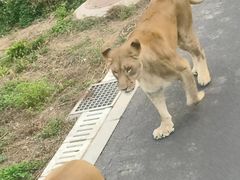 -太原动物园