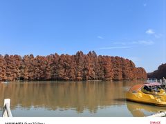 -上海海湾国家森林公园