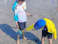 -南汇嘴观海公园