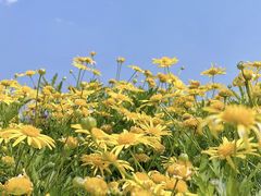 -南诏风情岛