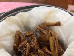 -侠成水上农庄(工业大道店)