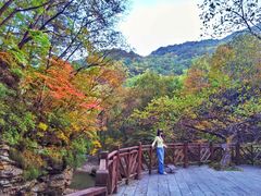 -五女峰国家森林公园