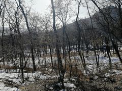 -阳台山自然风景区