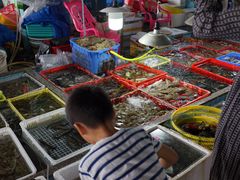 -霞涌市场海鲜摆卖区