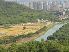 -风云岭森林公园