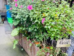 -礼耕堂·百年茶人餐厅(梅家坞店)