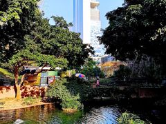-九龙公园