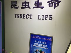 -上海昆虫博物馆