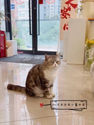 -倩极·精研痘敏肌管理