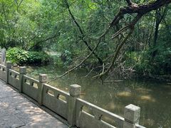 -天目湖山水园