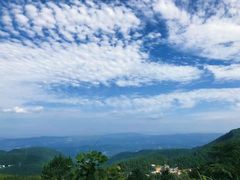 -武陵山森林公园