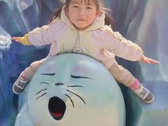 -海合安武汉极地海洋公园