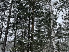 -峡谷浮石林景区