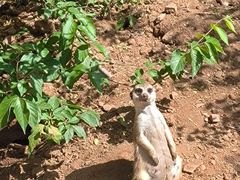 -石家庄市动物园