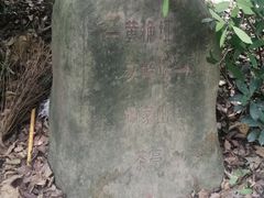 -南山植物园