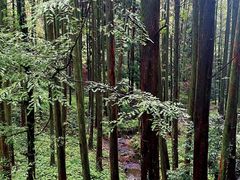 -山王坪喀斯特国家生态公园