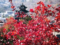 -狼牙山风景区